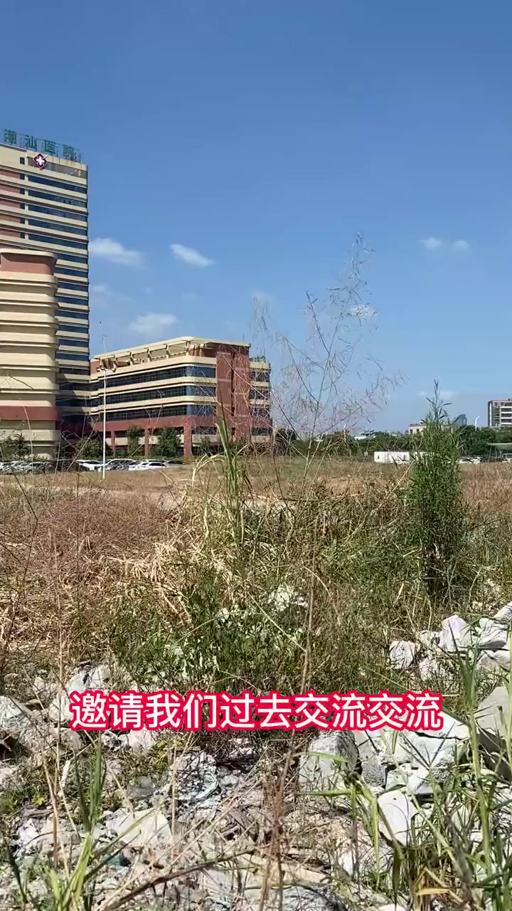 青草园网站在线观看青草园网站在线观看体验