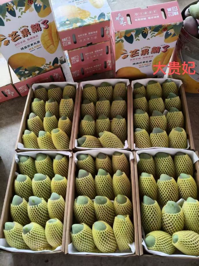 日产精品一线二线三线芒果日产精品一线、二线、三线芒果，品质之选