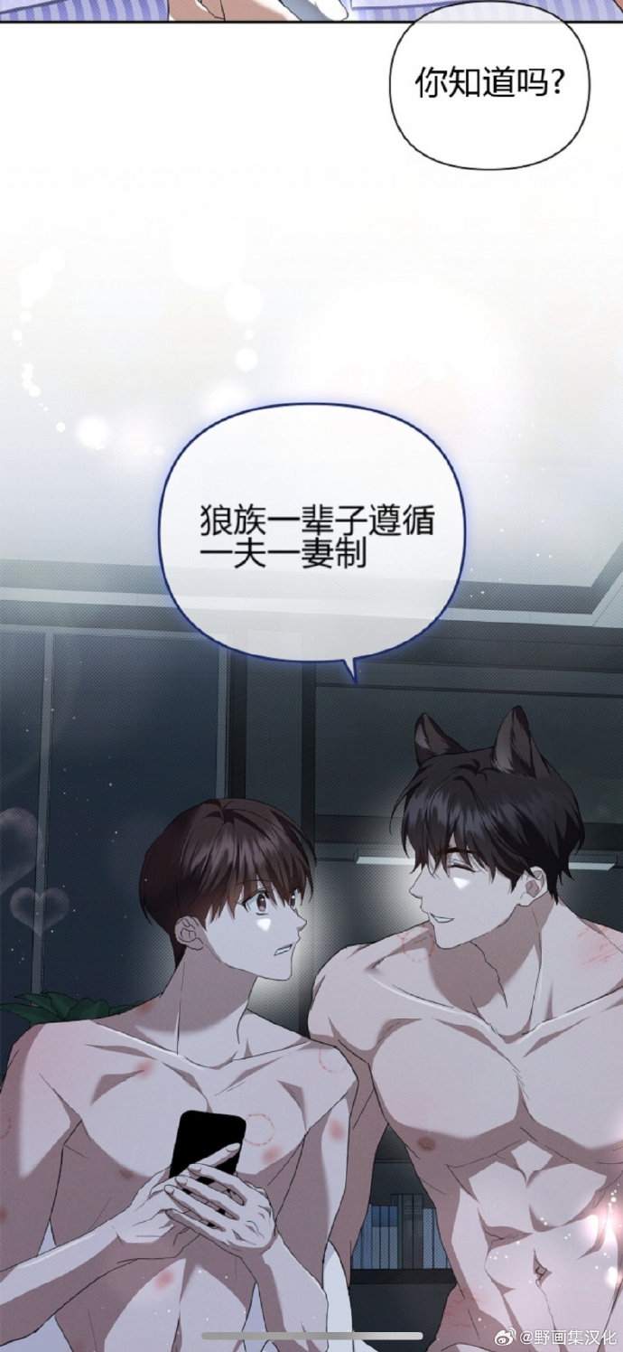 影后的小狼狗1v1免费阅读影后的小狼狗与1V1-第2张图片