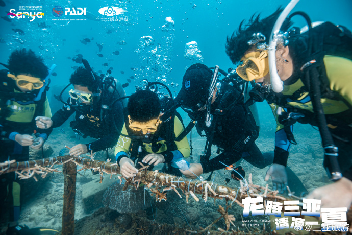 斗鱼火箭，探索未知的海洋之旅-第1张图片