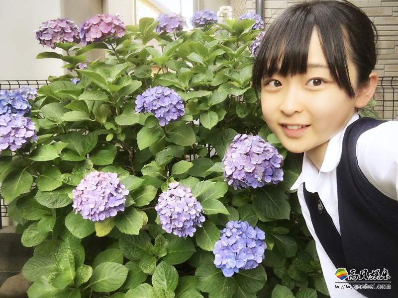 野花社区免费观看高清视频-第2张图片