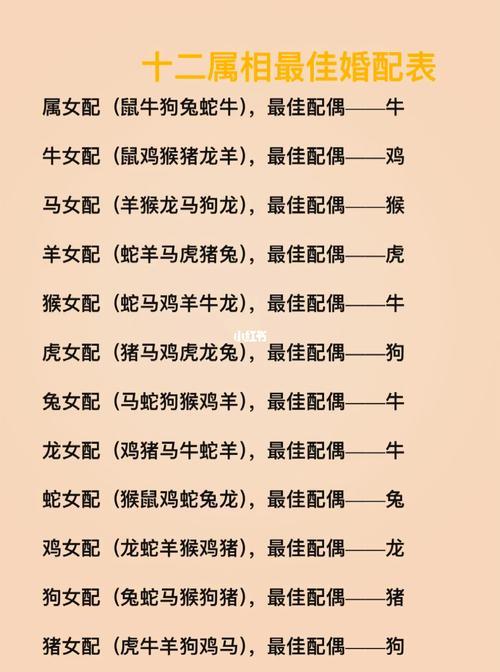 丢三落四是什么生肖