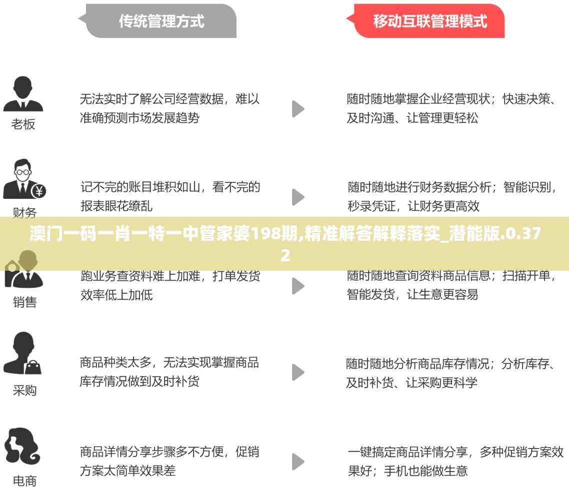 4949澳门免费资料大全特色澳门免费资料大全，探秘特色与资源-第2张图片