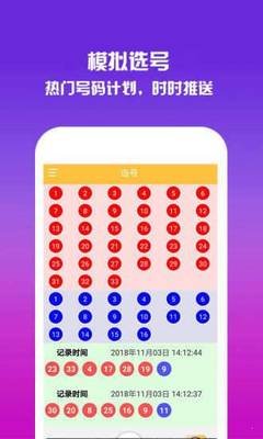 2024澳门天天开好彩大全凤凰天机12024澳门天天开好彩大全，揭秘凤凰天机