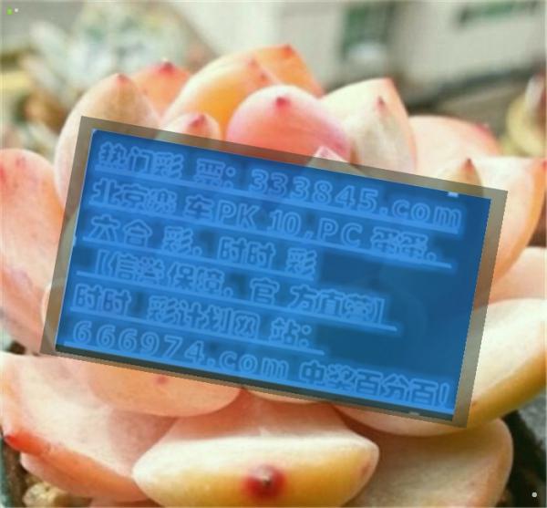 最准一肖一码100%中奖最准一肖一码100%中奖