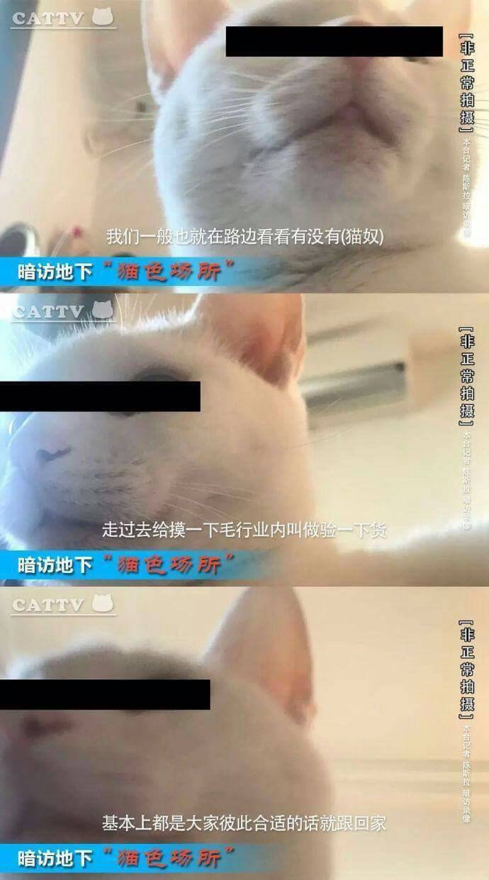你的奶好大让老子摸摸的说说小喜你的奶好大，让老子摸摸-第2张图片