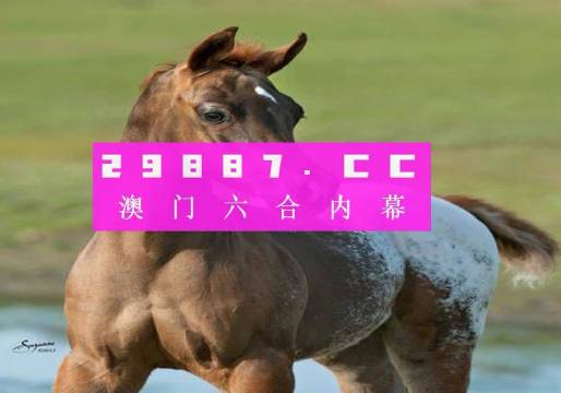 今日特马，探索今日的新奇与亮点-第1张图片