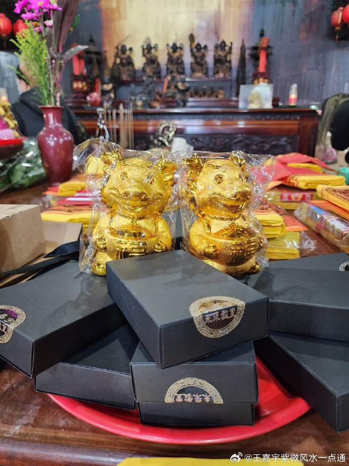 好运一点通高手主论坛好运一点通高手论坛，探索成功之路-第1张图片