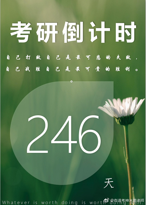 二四六正版免费资料大全246天-第3张图片