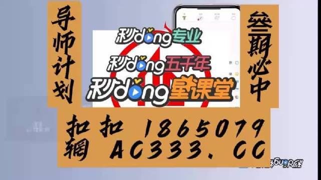 管家婆六肖中特网，神秘与实用的数字世界-第1张图片