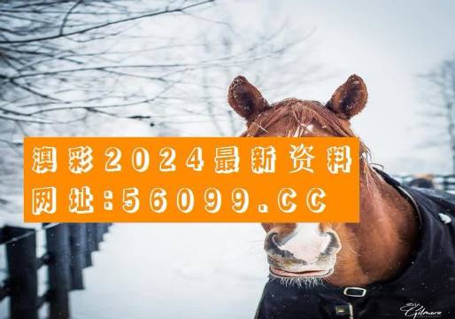 澳彩管家婆资料传真，展望未来