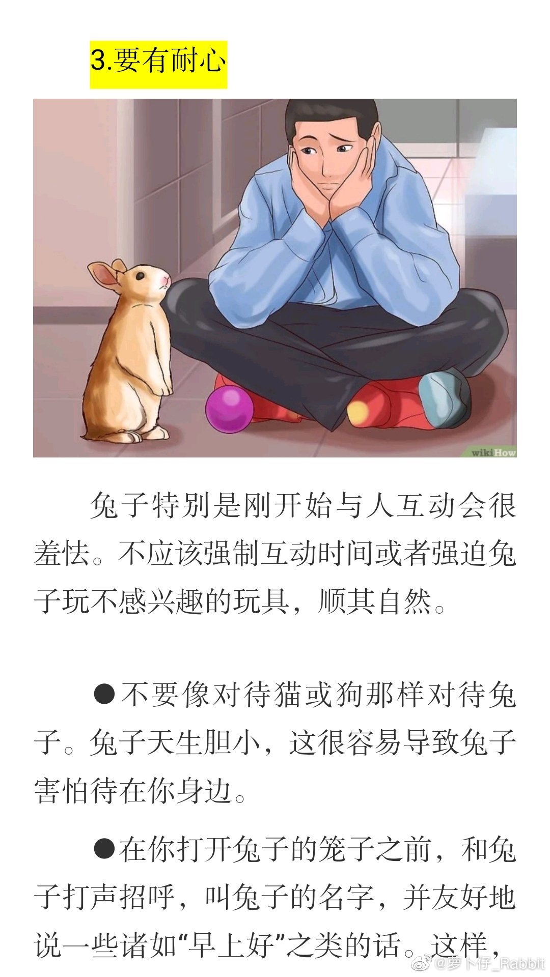 英语老师让我吃她的兔子可以吗翻译英语老师让我吃她的兔子-第2张图片