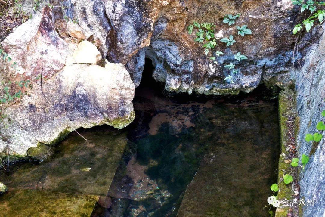 金盆水里泼红泥-第1张图片