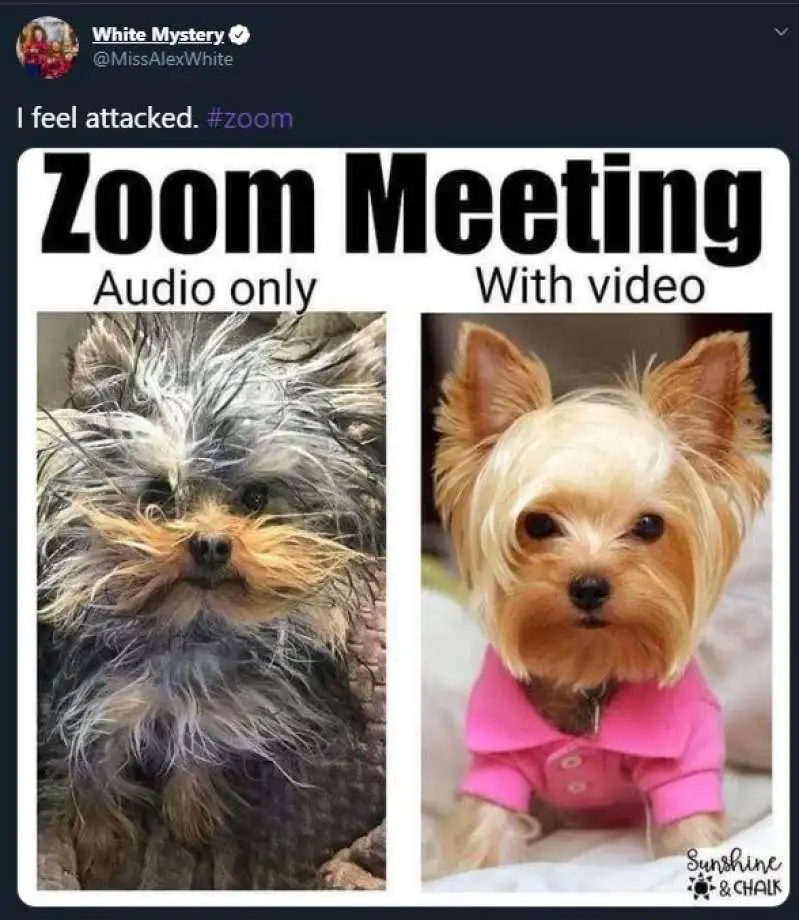 ZOOM人牛OKZOOM美国_第99集ZOOM人牛OK，美国Zoom的崛起与影响