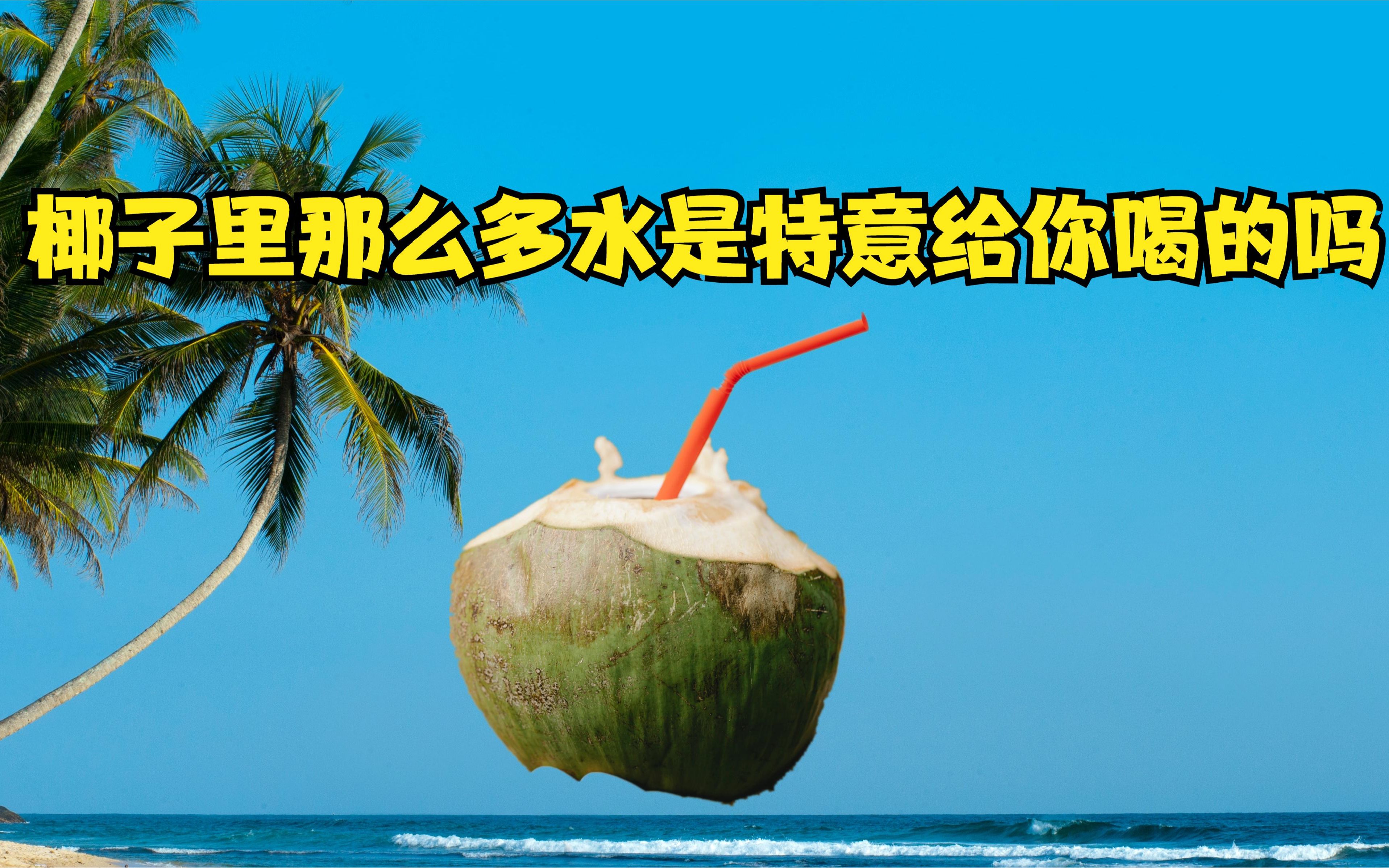 你水怎么这么多_你的水怎么那么多还说不要-第1张图片