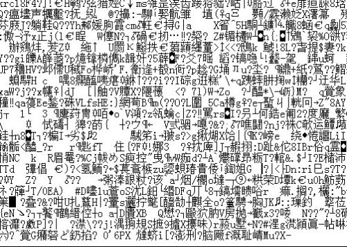 韩服天堂1乱码，体验与解析-第1张图片