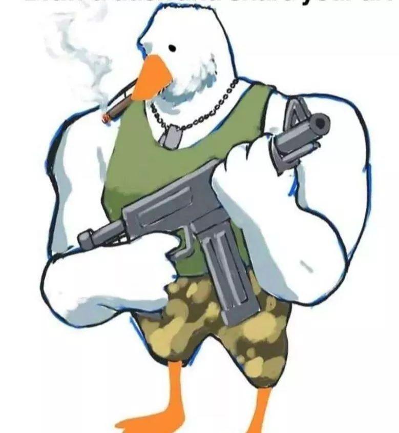 FLUFFINGADUCKKEVINMACLEOD