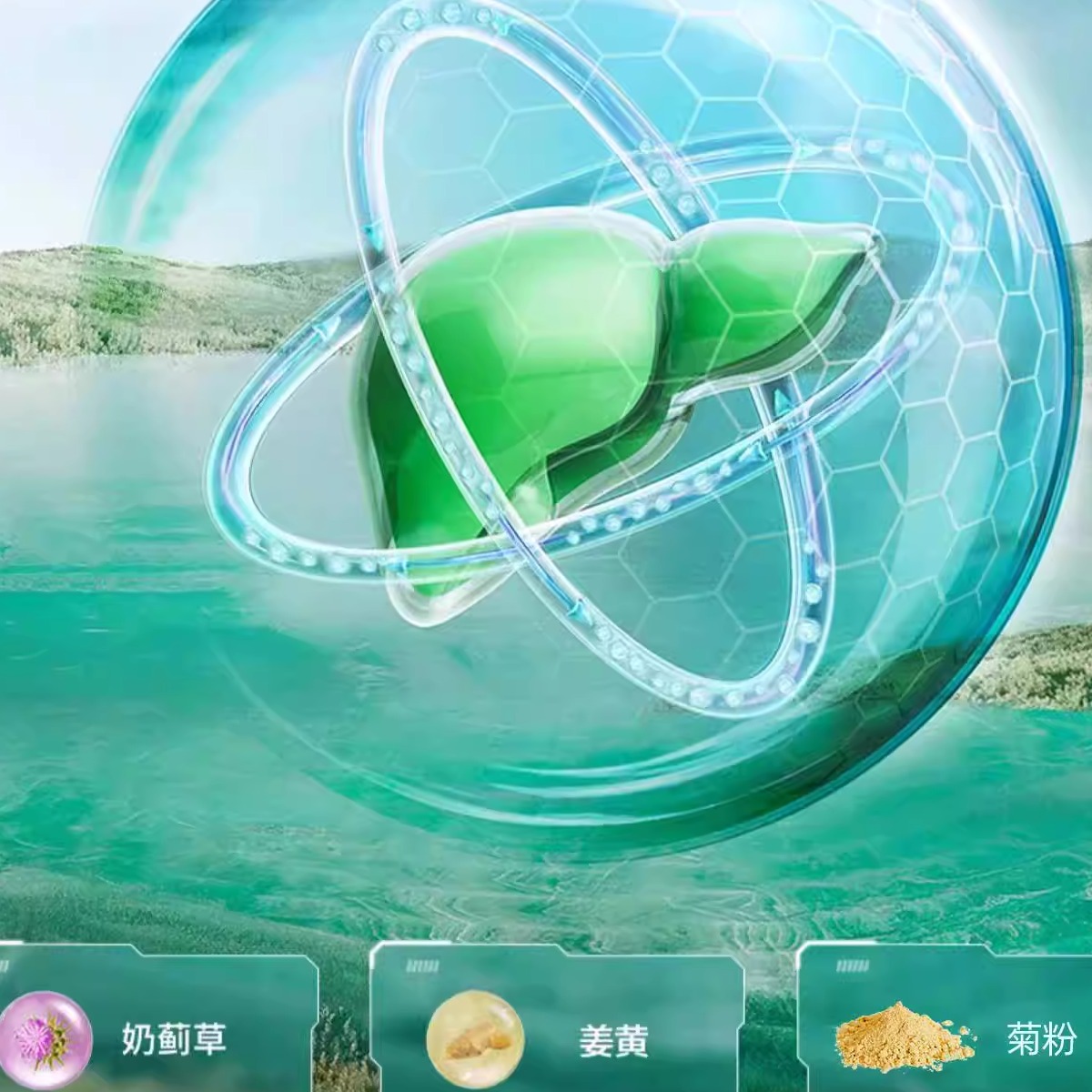 长生堂仙友搭配之道
