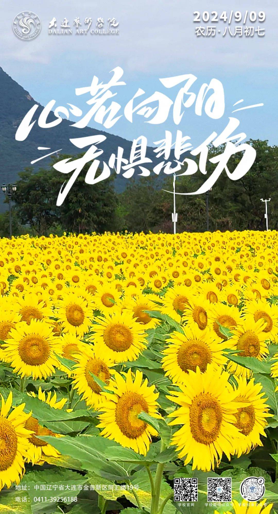 向日葵视频下载安装官方免费下载app向日葵视频下载安装官方免费下载指南