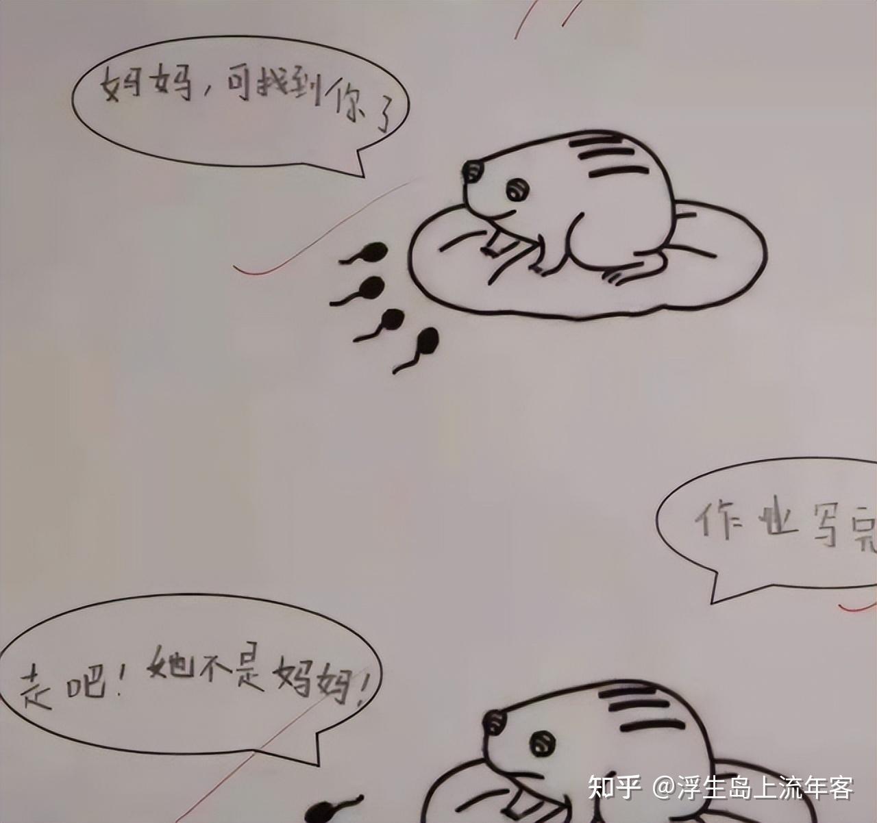小萝自我欣慰扣出桨漫画