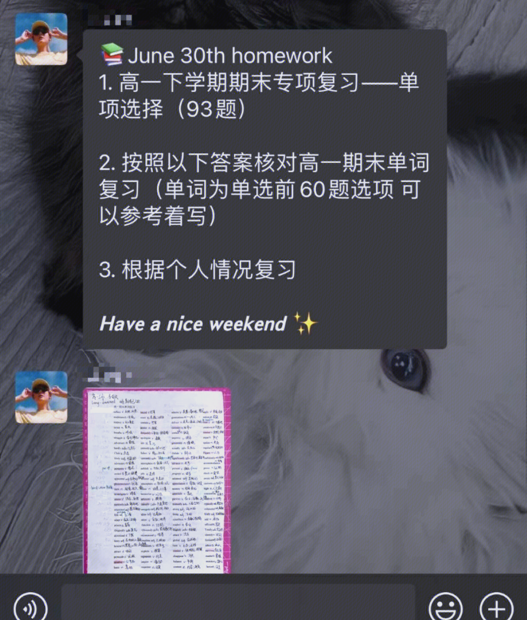 英语课代表趴在桌子上做作业英语课代表趴在桌子上做作业-第1张图片