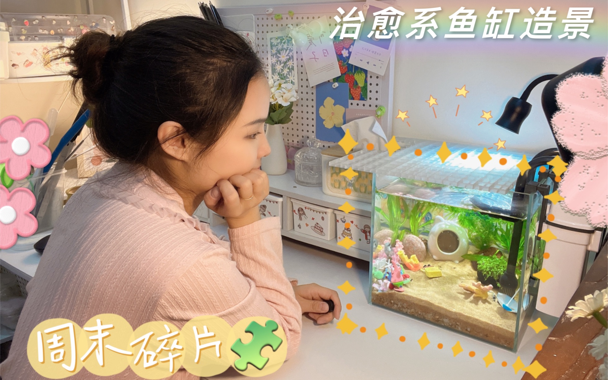 鱼缸测试性能网站，探索鱼缸性能的神奇世界-第1张图片