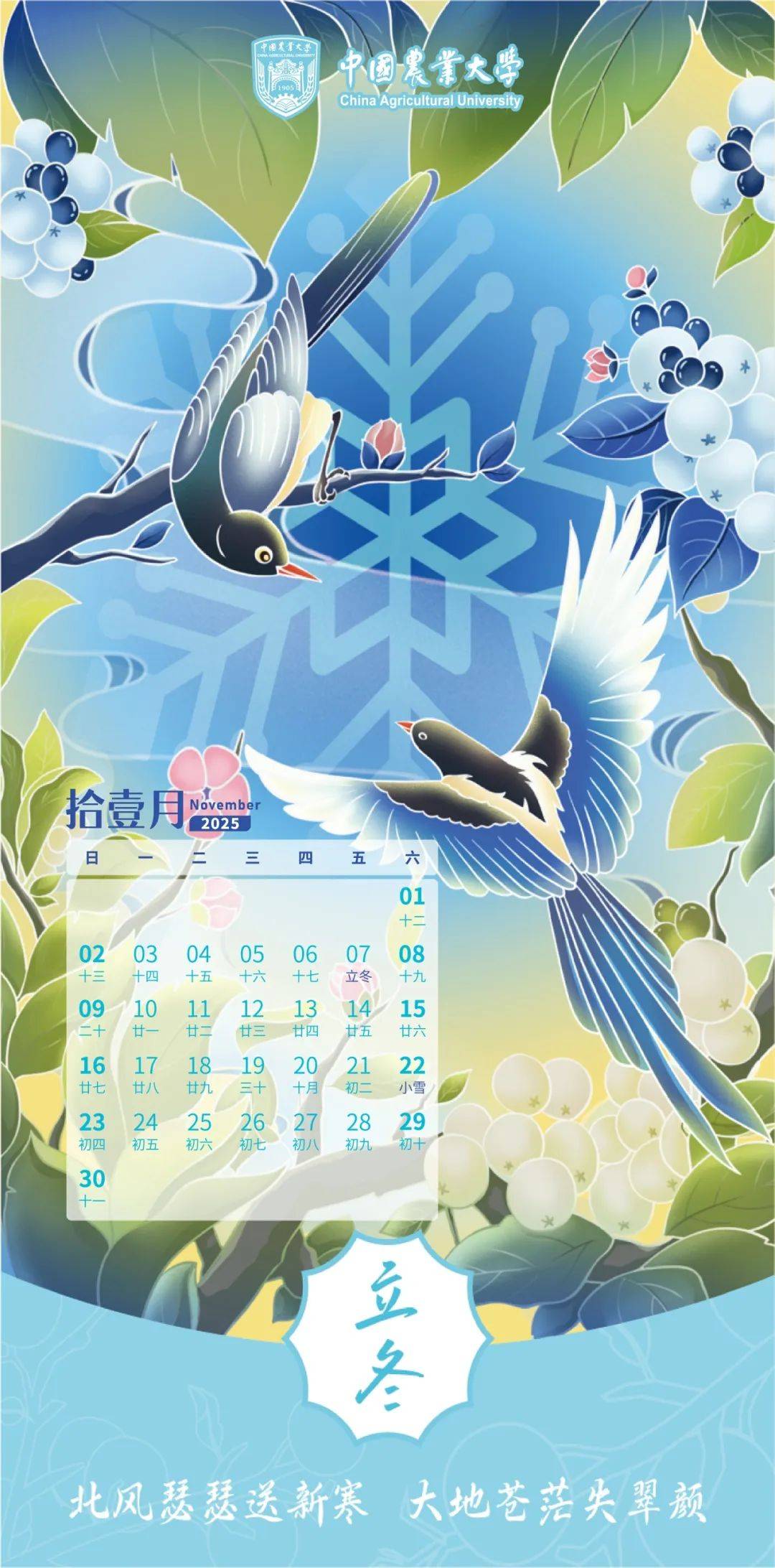 日历2012年，展望与规划-第1张图片