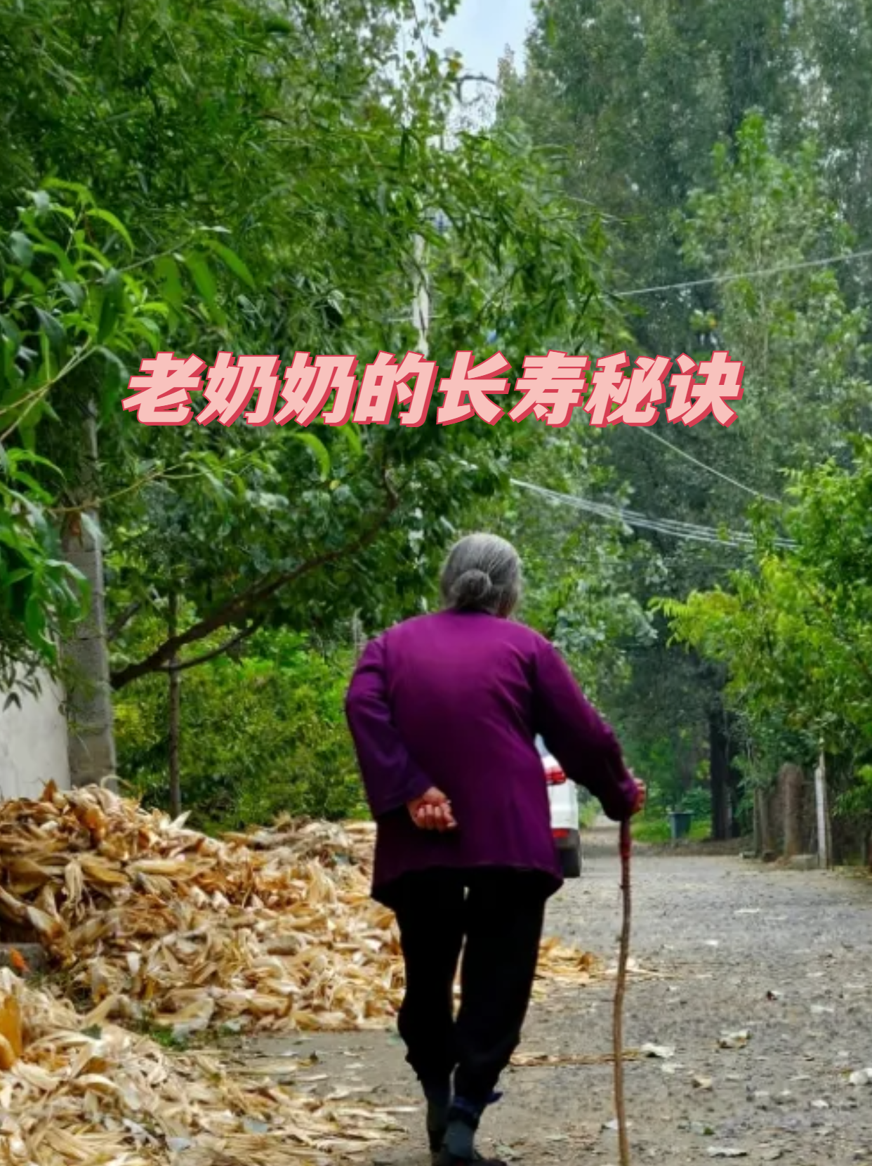 我喜欢搞老奶奶的知道了吗我喜欢搞老奶奶-第1张图片