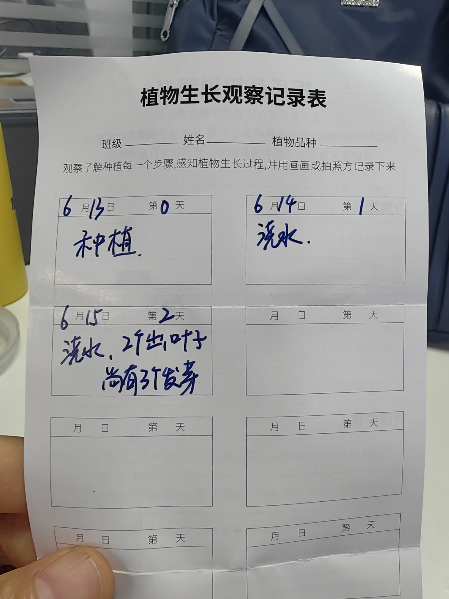 种子你懂得种子你懂得-第2张图片