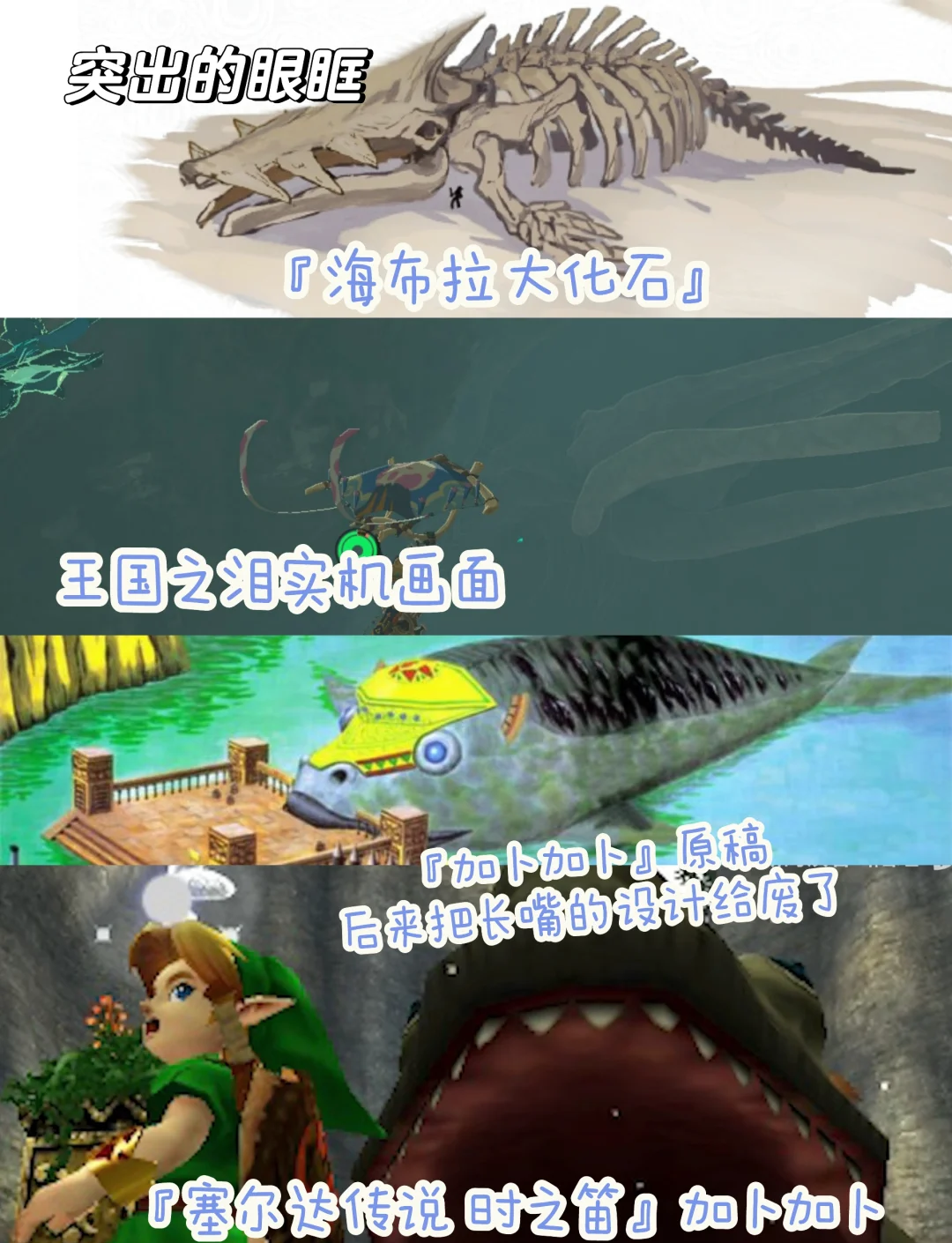 巨鲸巨鲸之谜-第1张图片