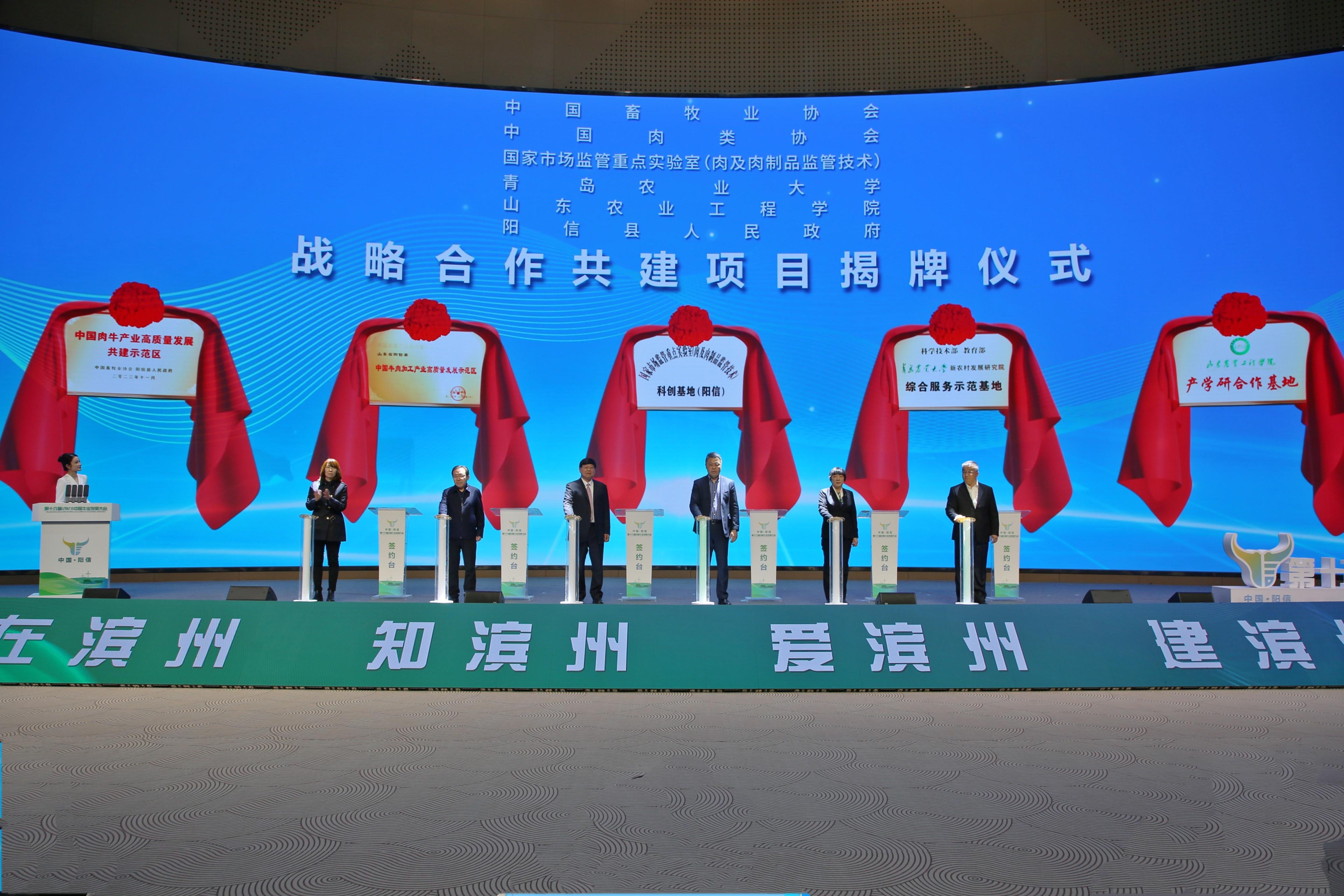 国精产品一二三线概述-第3张图片