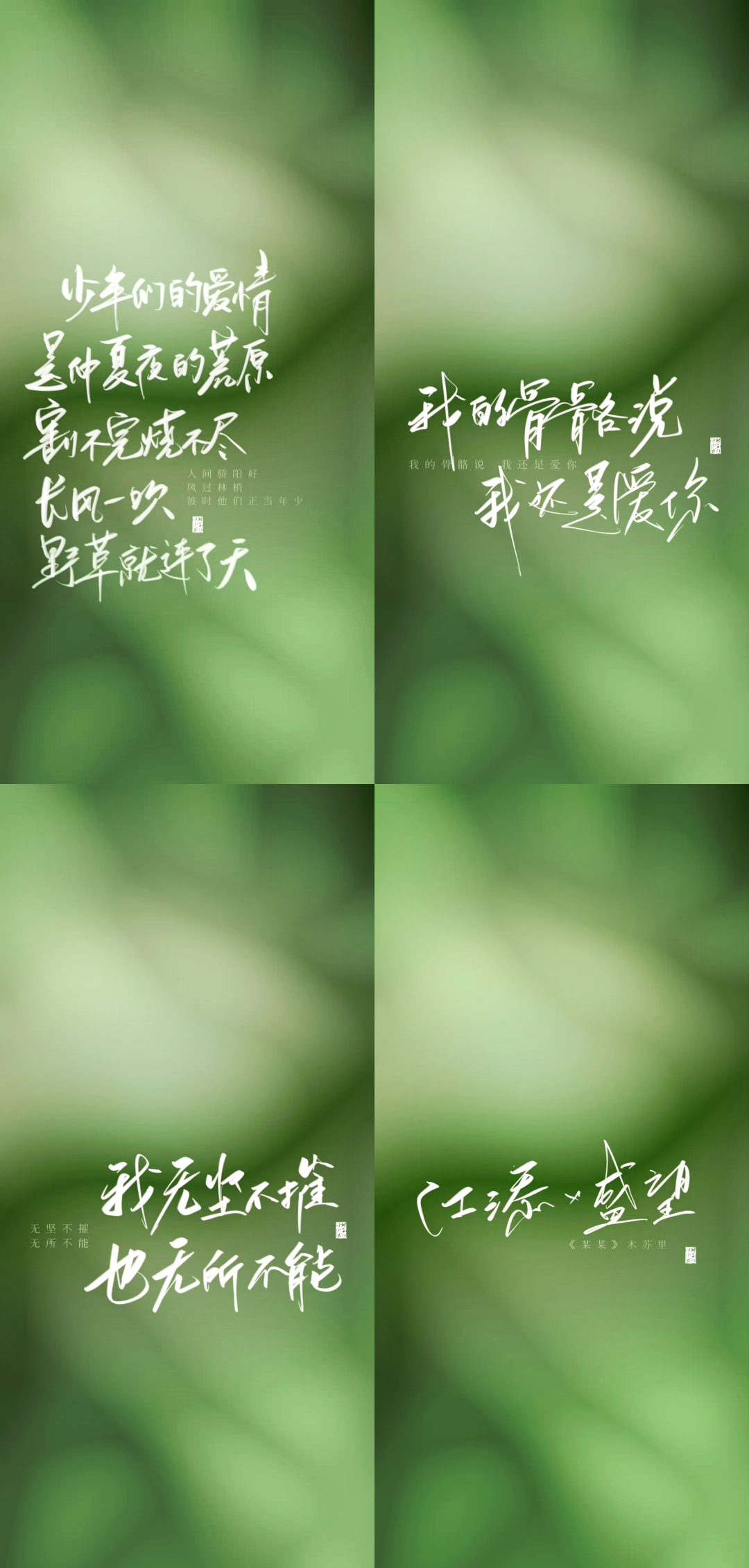 江添，青春的热血与梦想
