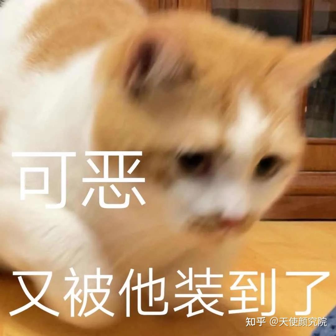 和对象do最猛的时候知乎和对象最猛的时候，探索激情与激情的极致