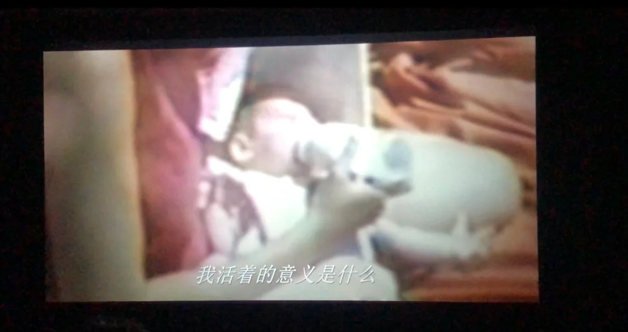 一个人看的www视频韩国在线观看一个人看的韩国视频，深度解析与启示-第1张图片