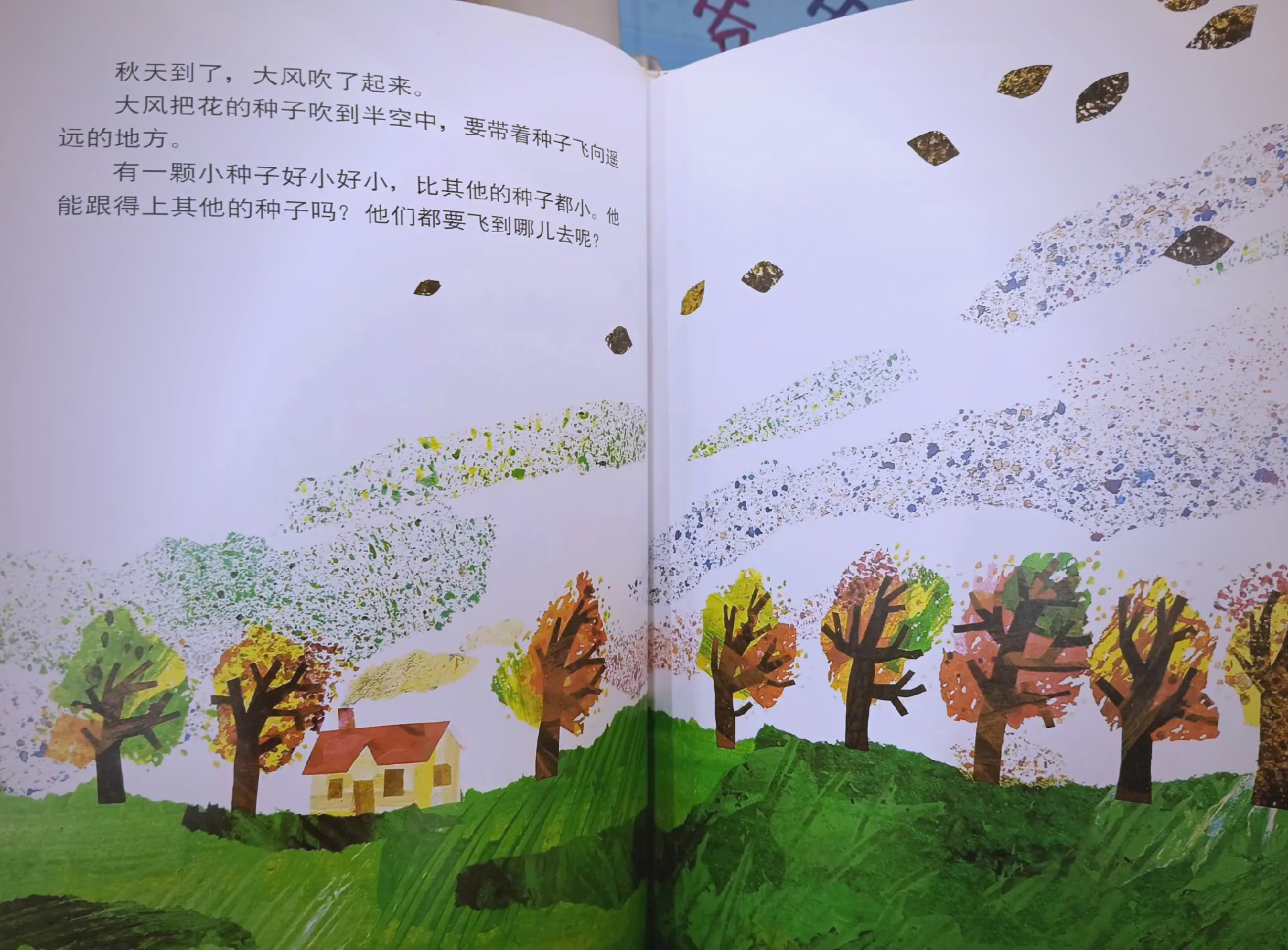 你懂得种子——生命的奇迹-第2张图片