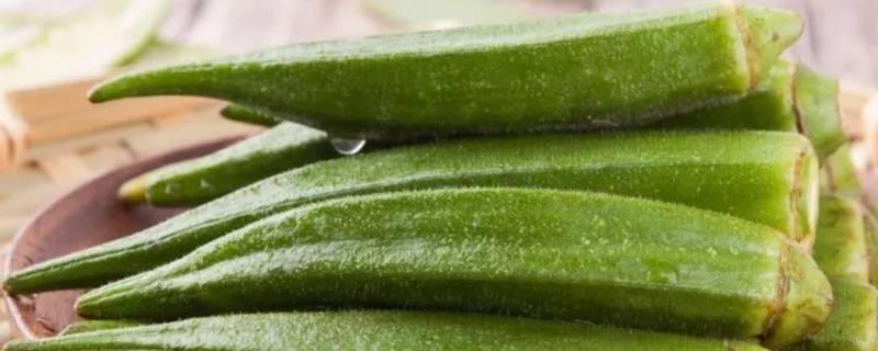 秋葵appisqk在线秋葵app与秋葵官网，在线观看的探索之旅-第2张图片