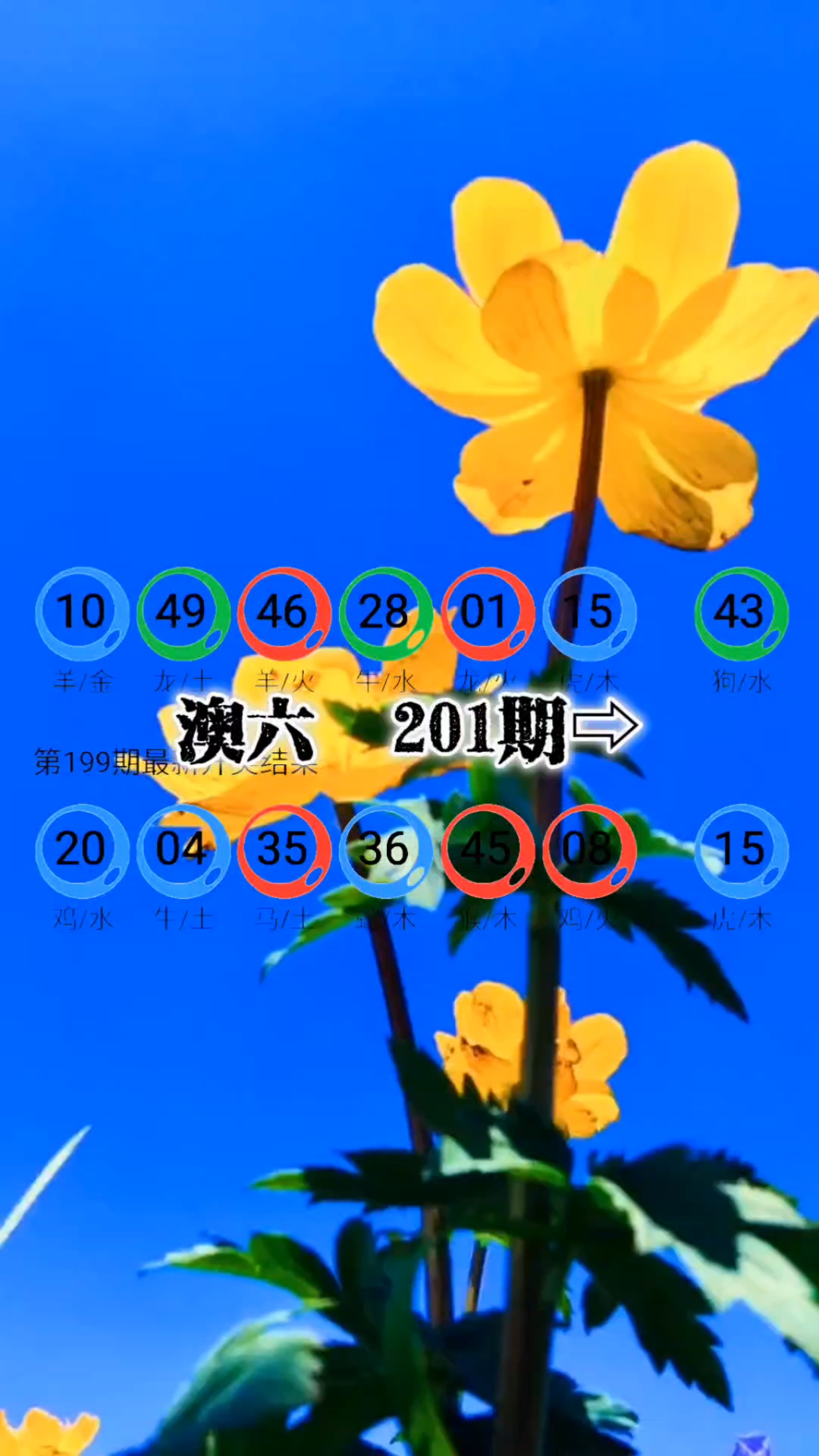 新澳精准资料免费提供网新澳精准资料免费提供网，全面解析与使用-第1张图片