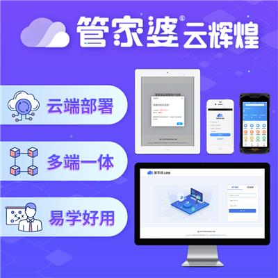管家婆正版内部精选大全管家婆正版，智能管理的新选择-第2张图片