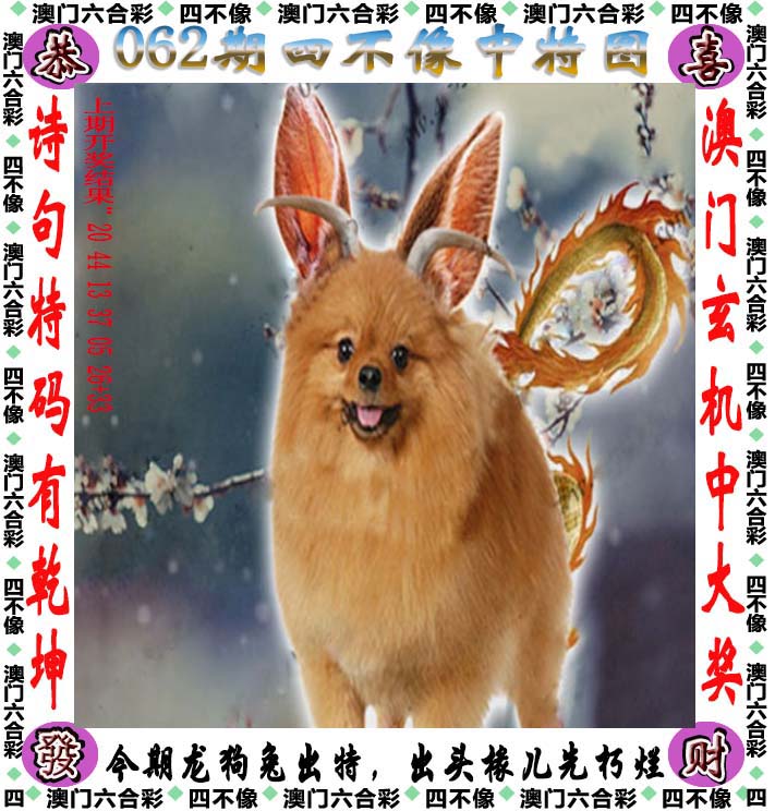黄大仙精准内部三肖三码-第1张图片