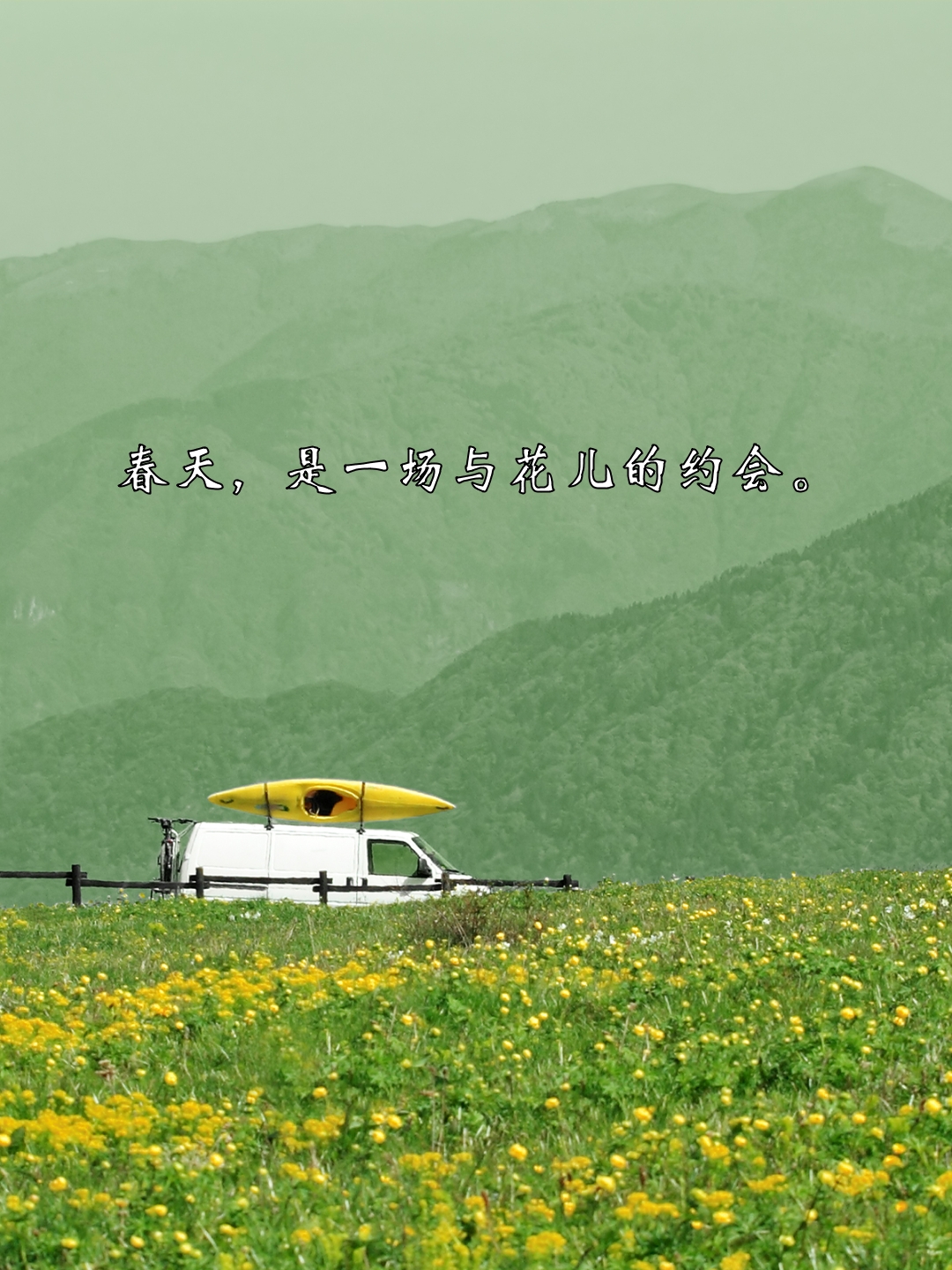 春暖花开论坛，探索春天的美好与交流-第3张图片