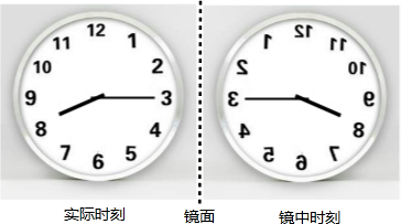 从镜子里看我怎么C你从镜子里看我怎么C你-第2张图片