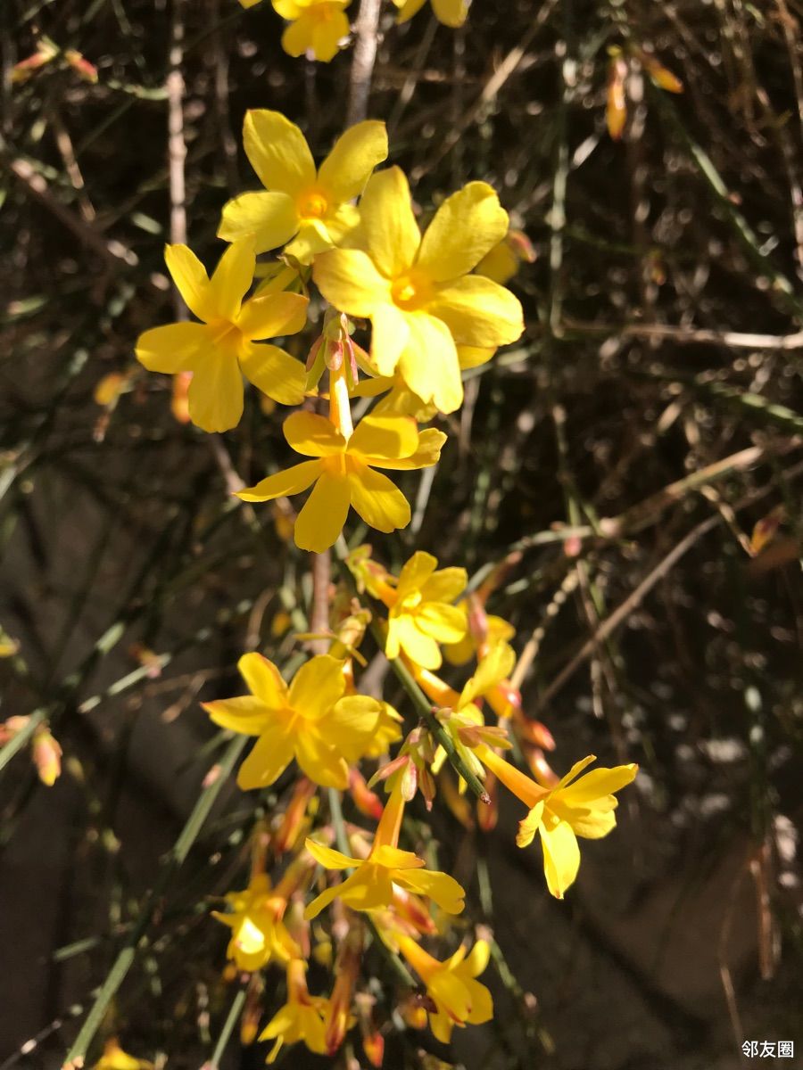 春暖花装饰设计工程有限公司怎么样春暖花开论坛公告区-第1张图片