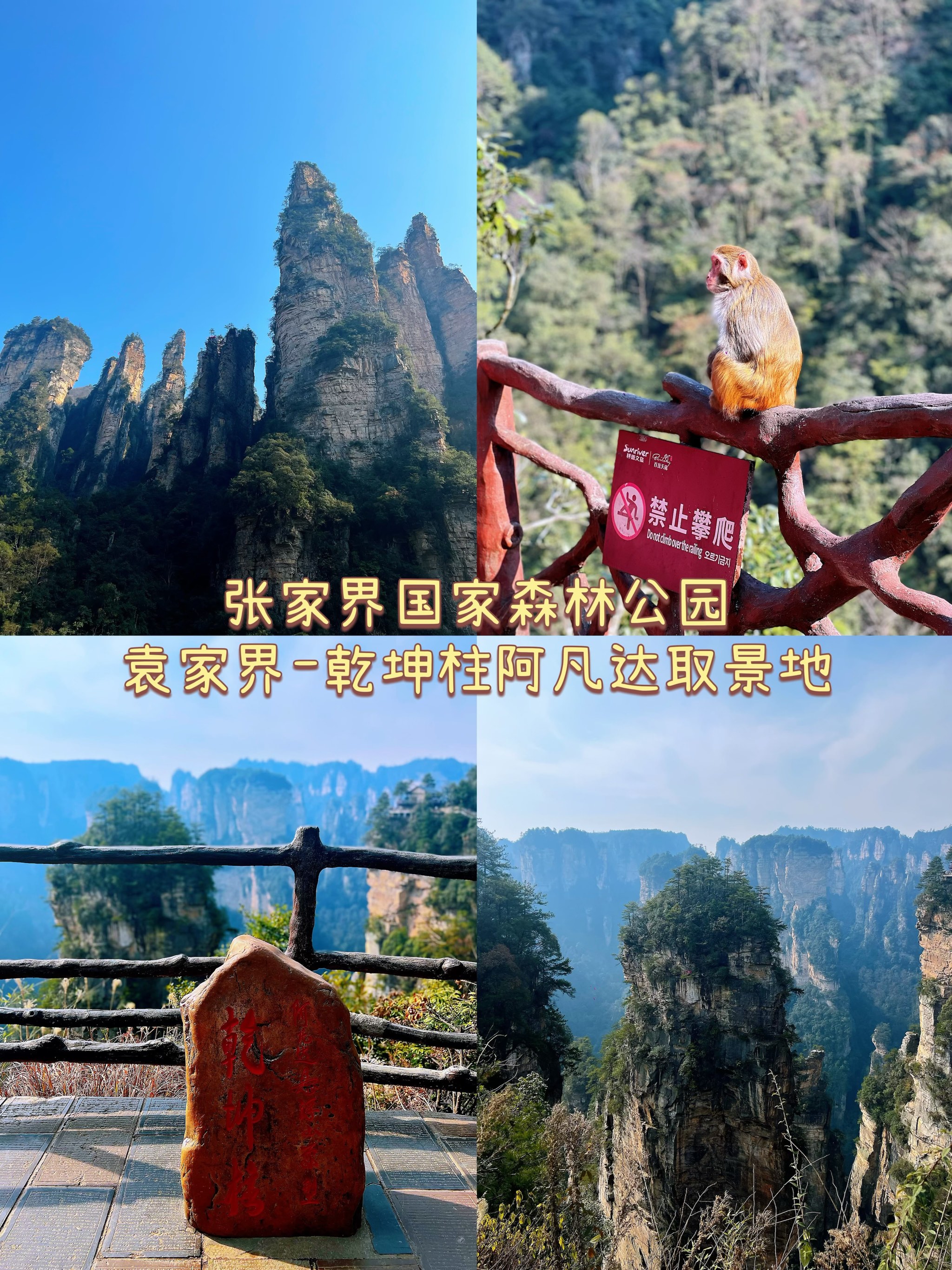 上海至张家界旅游攻略