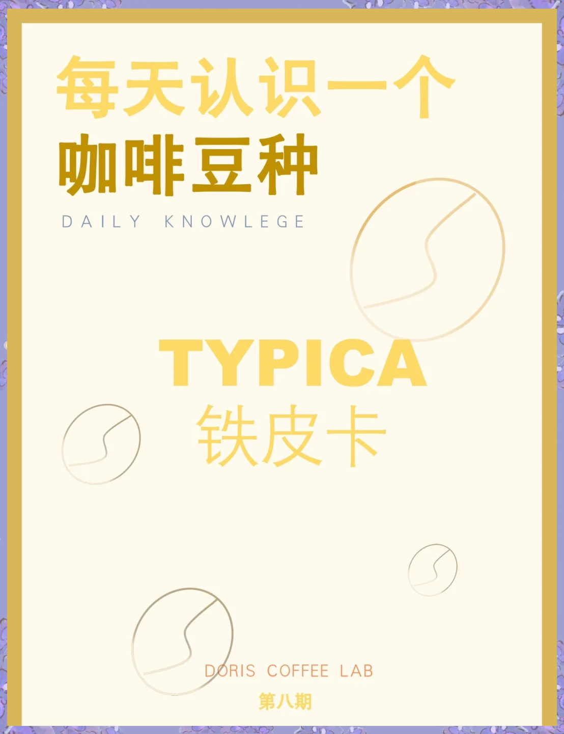 精品一区卡2卡3卡精品一区卡2卡3卡，高端体验与卓越品质的完美结合-第2张图片