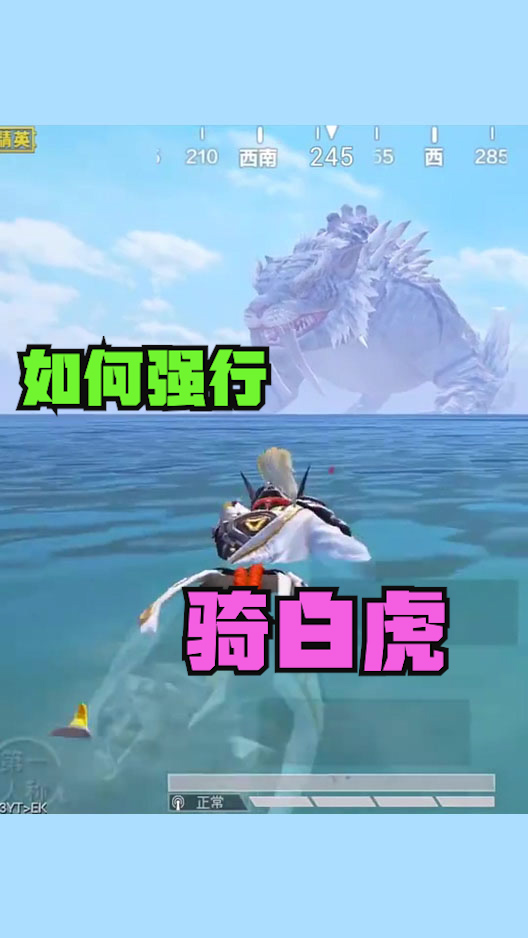 黄金岛官网，探索黄金岛的神秘世界-第1张图片