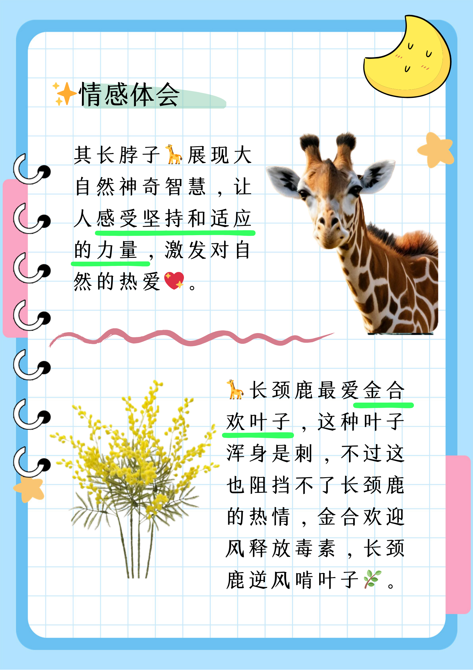 大家好！今天我想和大家分享一些有趣的图片。在我们的日常生活中，图片是一种非常直观、生动的方式，让我们能够更好地理解和感受世界。下面，让我们一起欣赏这些图片吧！-第1张图片