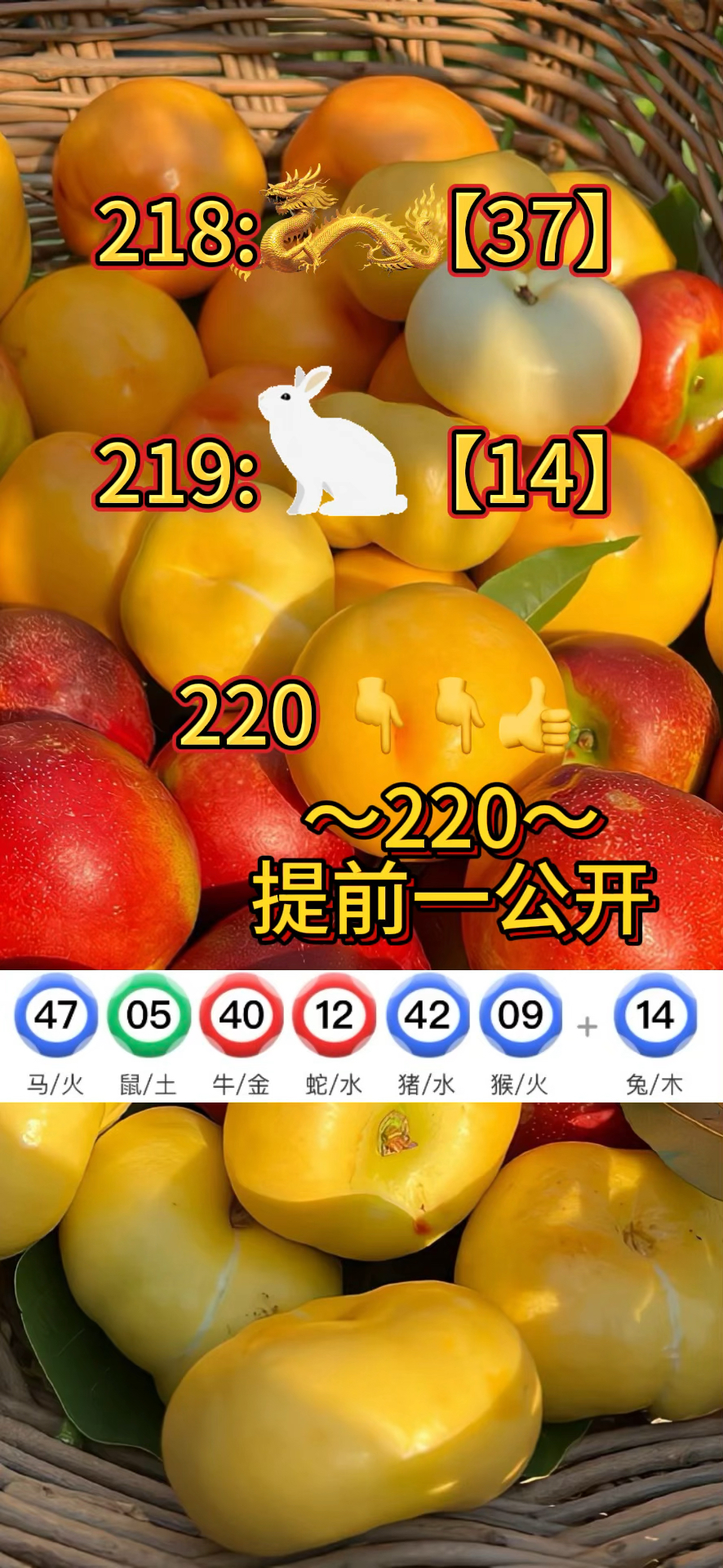 澳门资料大全-第2张图片