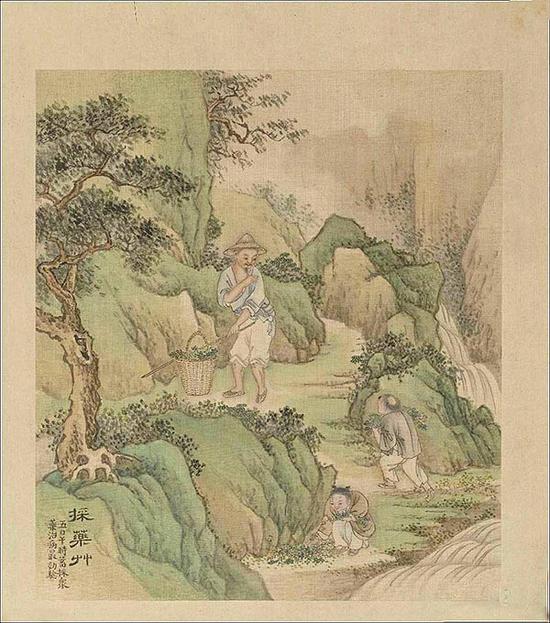 全年铁算盘，智慧与传统的完美结合-第3张图片