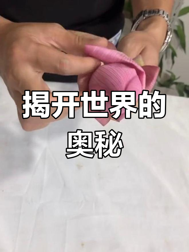 探索龙物，yw.8827的神秘世界