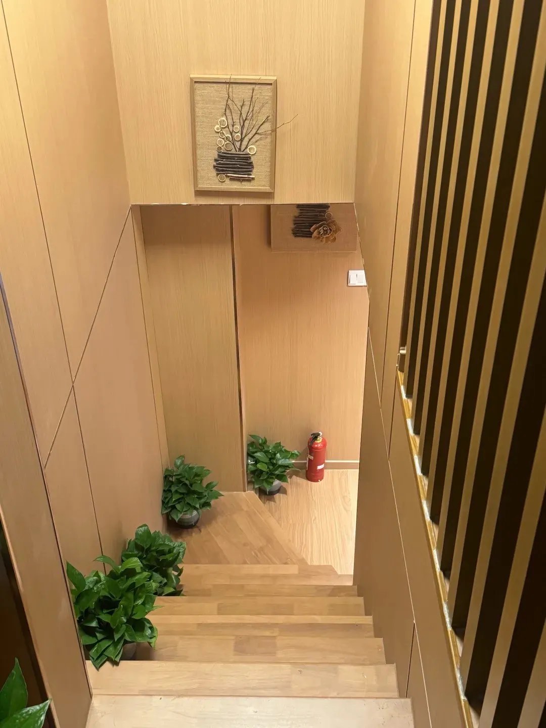 我可以触碰你的深处吗开车游戏我可以触碰你的深处吗？驾驶游戏中的神秘之旅-第2张图片